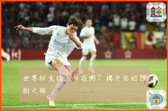 世界杯竞猜入口在哪？揭开你的预测之路