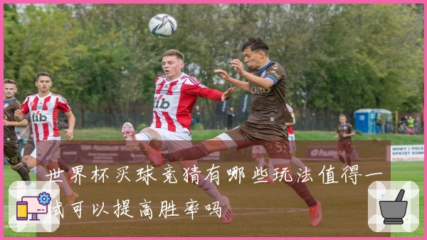 世界杯买球竞猜有哪些玩法值得一试可以提高胜率吗