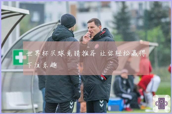 世界杯买球竞猜推荐 让你轻松赢得下注乐趣