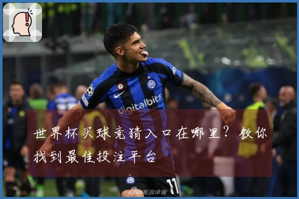 世界杯买球竞猜入口在哪里？教你找到最佳投注平台