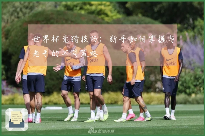 世界杯竞猜技巧：新手如何掌握与老手的不同策略