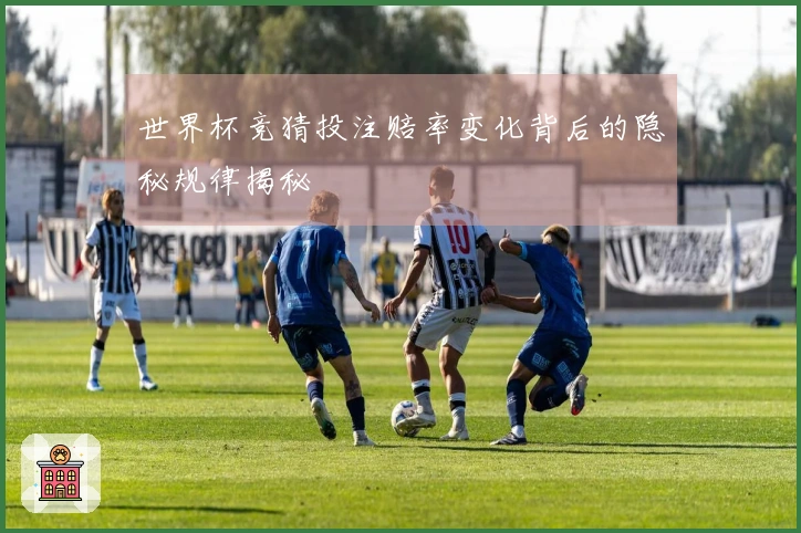 世界杯竞猜投注赔率变化背后的隐秘规律揭秘
