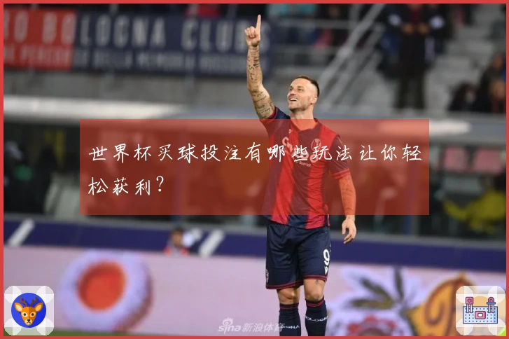世界杯买球投注有哪些玩法让你轻松获利？
