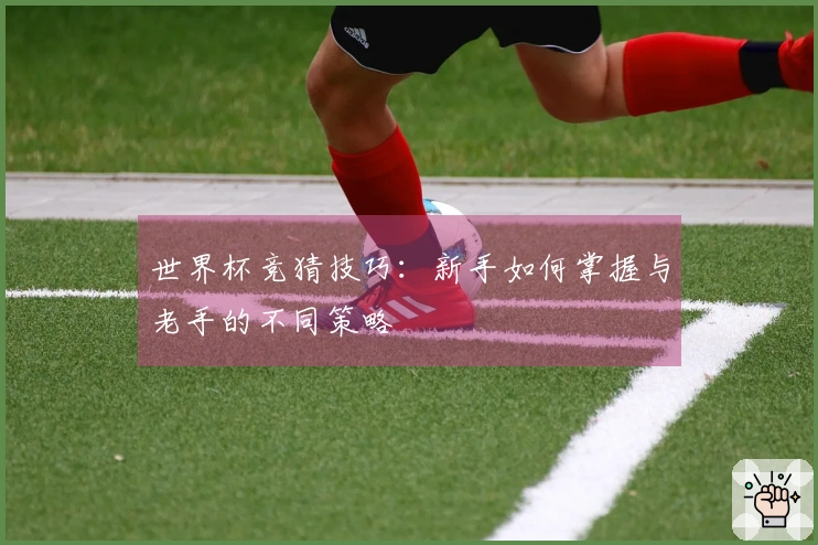 世界杯竞猜技巧：新手如何掌握与老手的不同策略