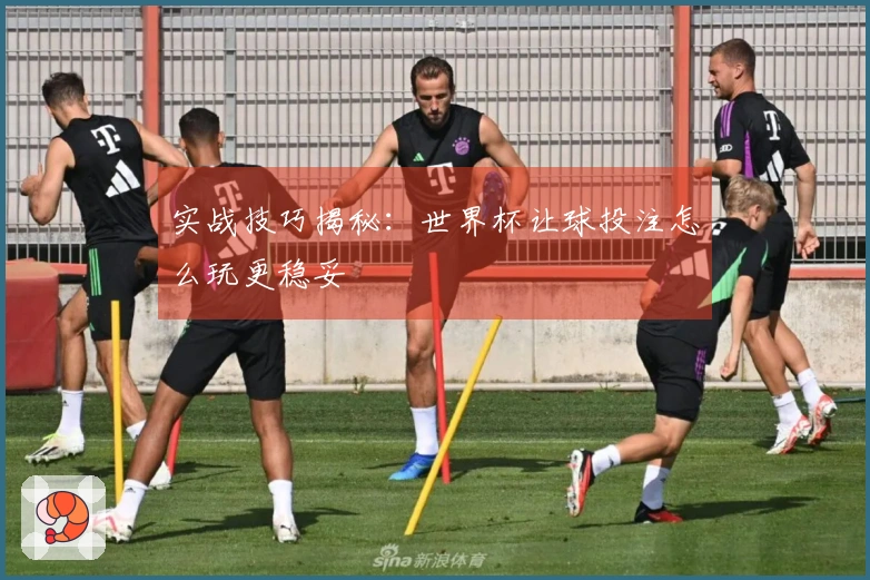 实战技巧揭秘：世界杯让球投注怎么玩更稳妥