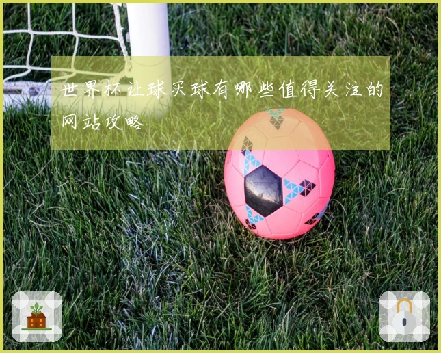 世界杯让球买球有哪些值得关注的网站攻略